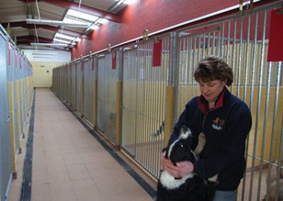 Ridgehill Kennels and Cattery | Boarding Kennels Cheshire | Kennel