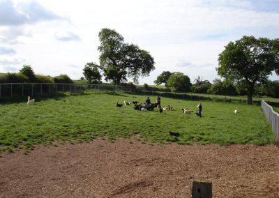 Ridgehill Kennels and Cattery | Boarding Kennels Cheshire | Field
